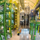 The LHCb Experimental Hall